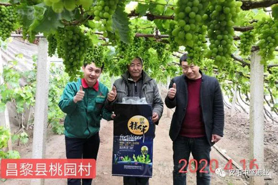 ����ܛ����ʲôԭ������η�����