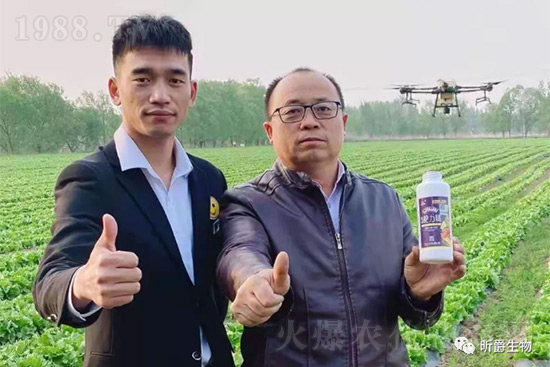 ����׷�ʏ�(f��)�Ϸʺ�߀�����غã��ܶ��˶��e(cu��)�ˣ����������_�x��