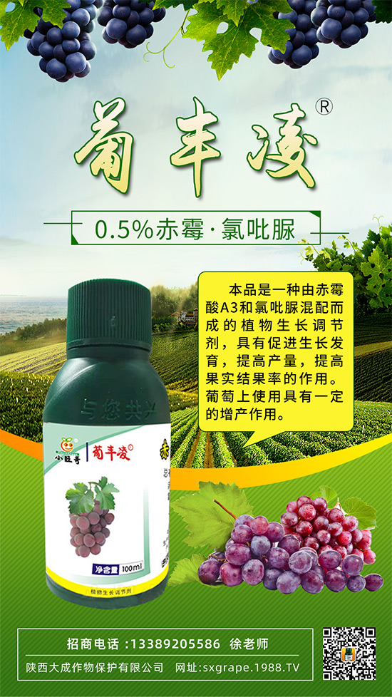 ���ѹ���ϡ������С����(y��n)����ô�k���@Щ�����ஔ(d��ng)��Ҫ