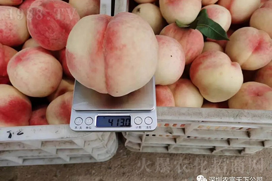 �Ҙ������ô�k���Ҙ����ԭ���A������