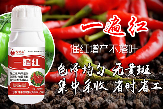 ������ʲôҪ���t���������t��ɫ�Ă����Ӻ���