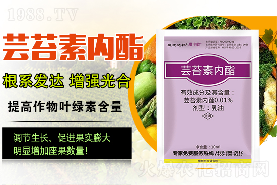 �|̦�؃�(n��i)����ɶ���Q��ֲ�����ˎ���|̦�؃�(n��i)����ô�x��