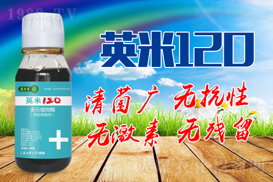 ��轰׷۲��İY����ʲô����轰׷۲����η�����