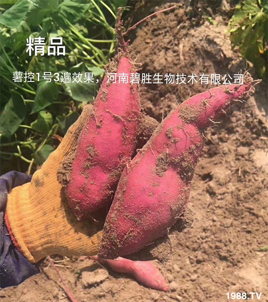     �������c��