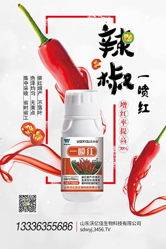 ���t�����95%���߼t�����~�����뷭�׷�����������һ���t��