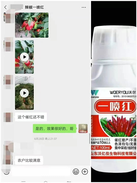 ���t�����95%���߼t�����~�����뷭�׷�����������һ���t��