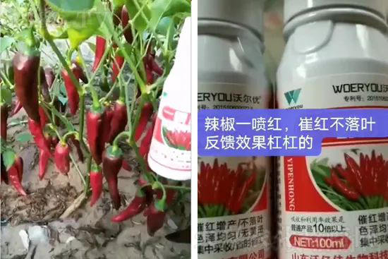 ���t�����95%���߼t�����~�����뷭�׷�����������һ���t��