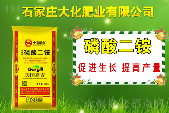 ��(zh��n)�Ժ�����������ʯ���f�󻯷ʘI(y��)�ٴκ��s1988.TV��