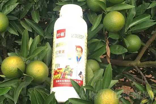 �t���ء�ֻ���D(zhu��n)ɫ�������D(zhu��n)ɫ�졢�����߼t���ó���