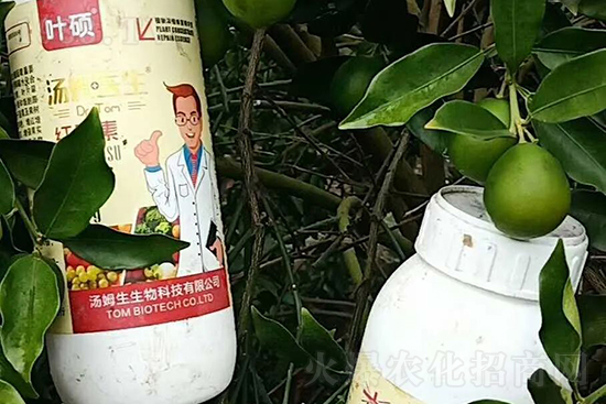 �t���ء�ֻ���D(zhu��n)ɫ�������D(zhu��n)ɫ�졢�����߼t���ó