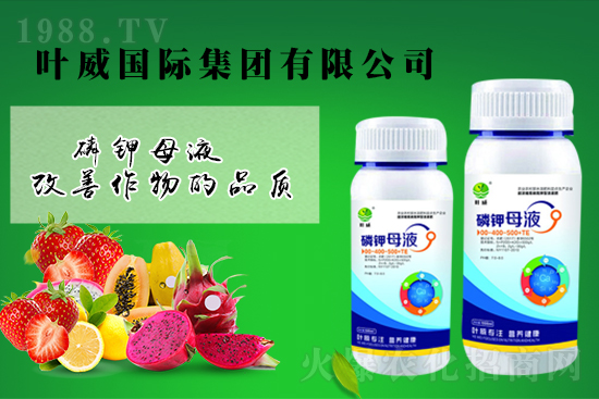 ���Շ�(gu��)��(n��i)⛷ʃr(ji��)�������Ӎ2022.7.5