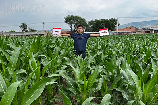 ��Դ������������I(y��ng)�B(y��ng)�a(b��)��ȫ����