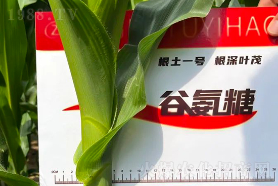 ��Դ������������I(y��ng)�B(y��ng)�a(b��)��ȫ����