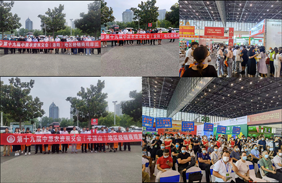 �ڶ�ʮ����ԭ�r(n��ng)�Y�p����4