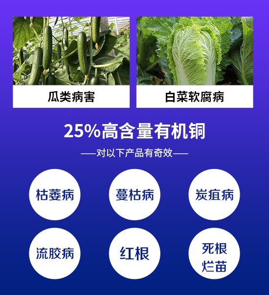 ��̩��(����D��_02