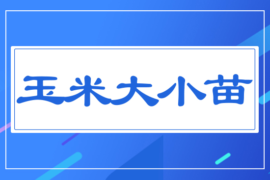 ���״�С��