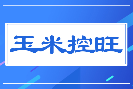 ���׿���