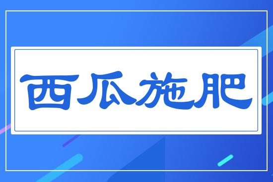 ����ʩ��