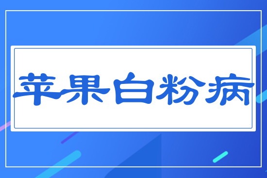 �O���׷۲�