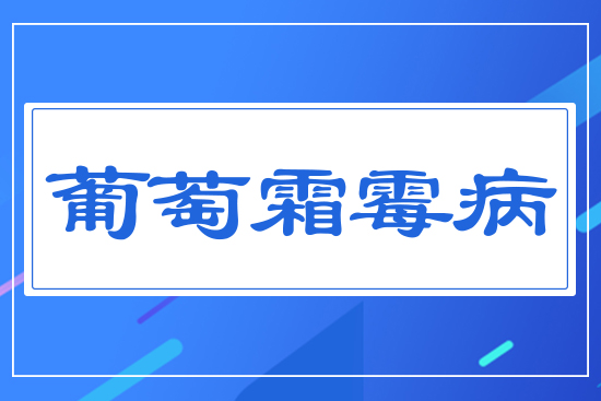 ����˪ù��