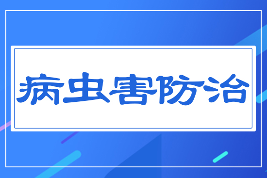 ���x(ch��ng)������