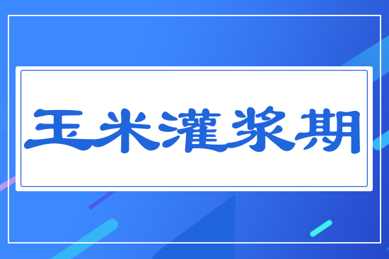 ���׹��{��