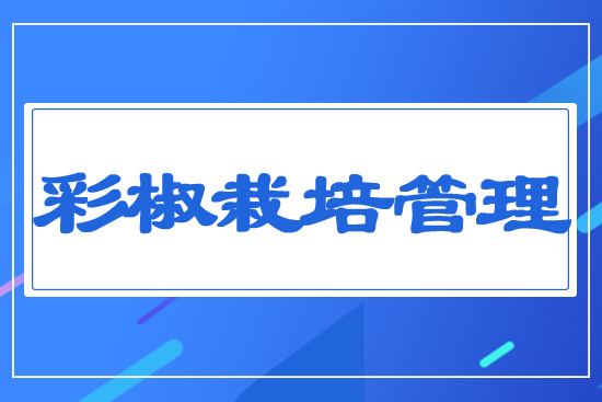 �ʽ��������