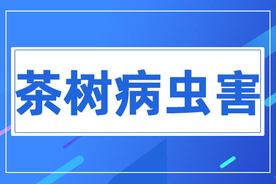 ���(sh��)���x(ch��ng)��