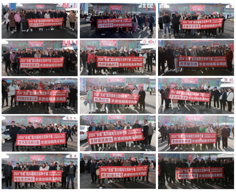 չ��(hu��)��ɫ