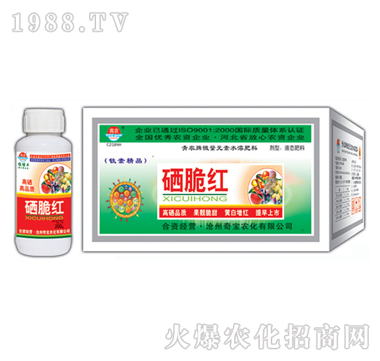 200g����t-�挚�r��