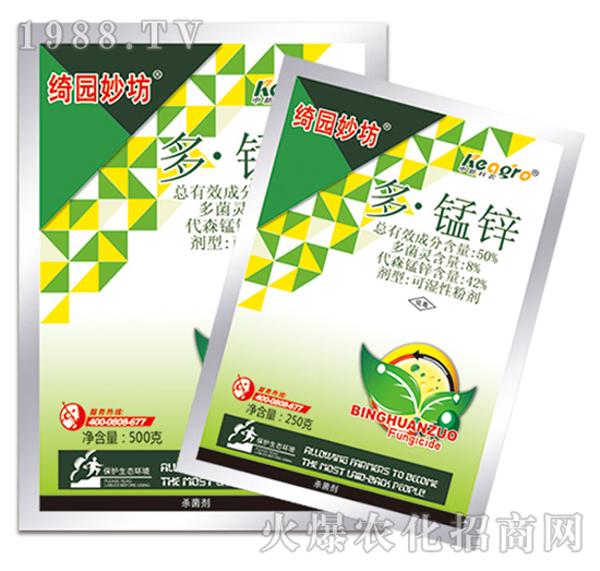 50%�ࡤ�i�\-�_�@�-���¿��r
