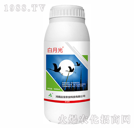 10%��x��-���¹�-�hҊ�r�I(y��)
