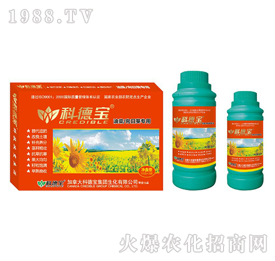 �Ͳ������տ����àI�B(y��ng)���a(ch��n)�{(di��o)�턩-�Ƶ�