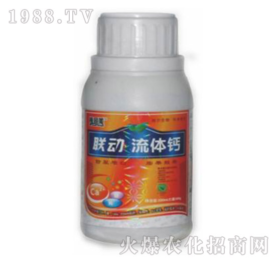 ���w�}-(li��n)��-� �����