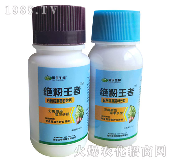 �׷۲�Ѭ��ˎ-�^��-�Z������