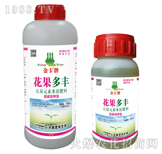 �������S-��-� �����