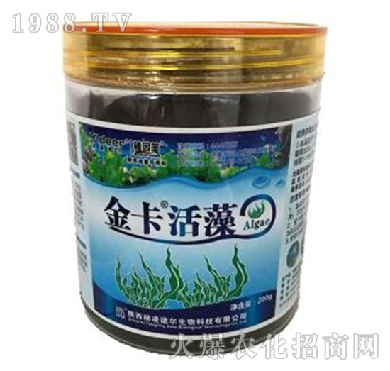 �𿨻���-��?t��ng)����? style=