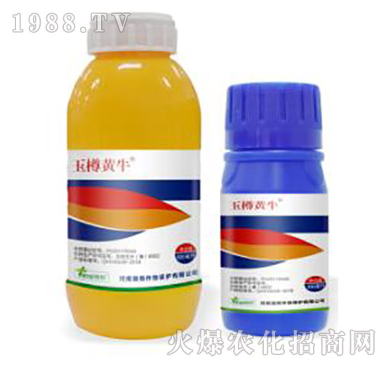 25%���ǡ�ݬȥ��-�����Sţ-�˹����