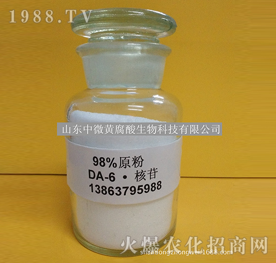 DA-6-��΢