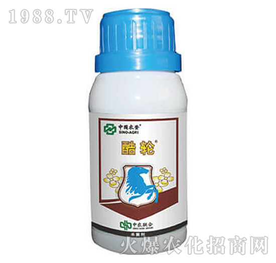 25%���r��-��݆-���r(li��n)��