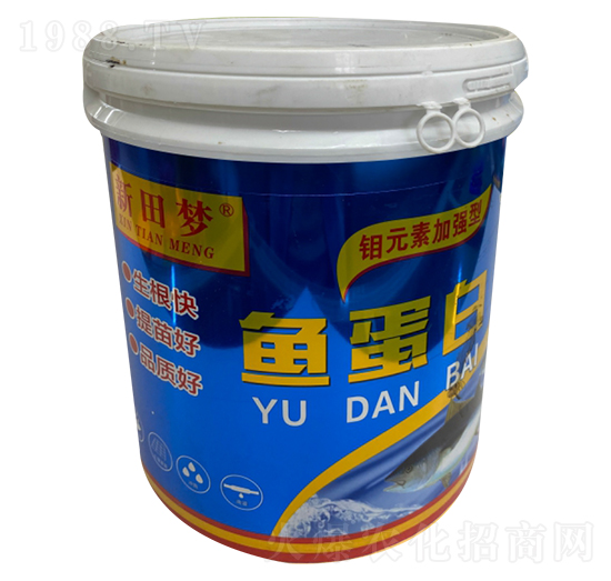 �~����-�����-�µ����