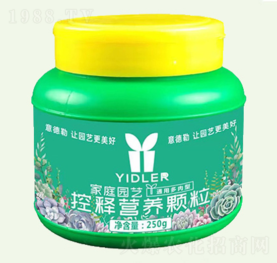 �����ͼ�ͥ�@ˇ��ጷʿ���w��-���