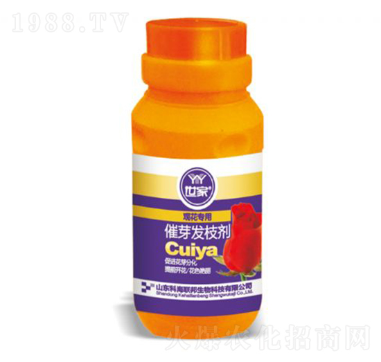 �^����(zhu��n)�ô�ѿ�l(f��)֦��-����-�ƺ�(li��n)��