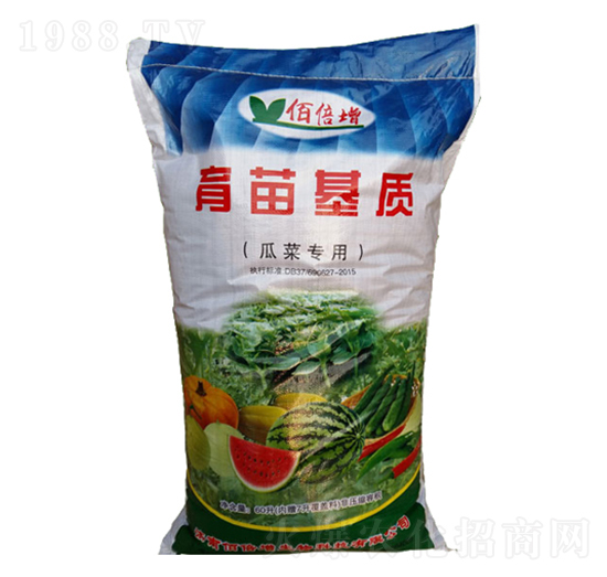 �ϲˌ���������|-�۱���