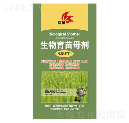 ��������ĸ��-����