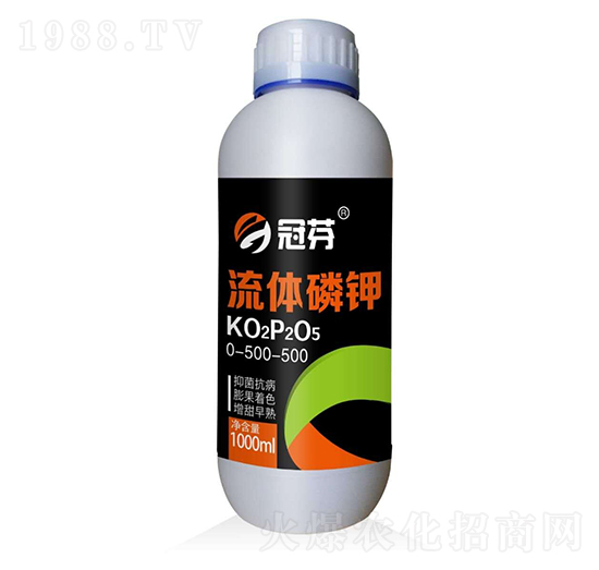 ���w���0-500-500 �ڷ�
