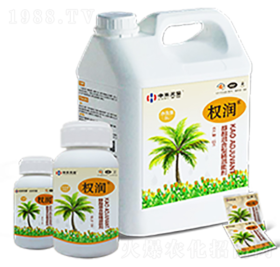 �r(n��ng)�Ç��F����-��(qu��n)��(r��n)-�к����