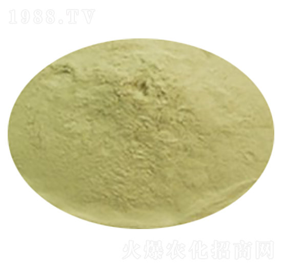 ���w���������Ч��-��������