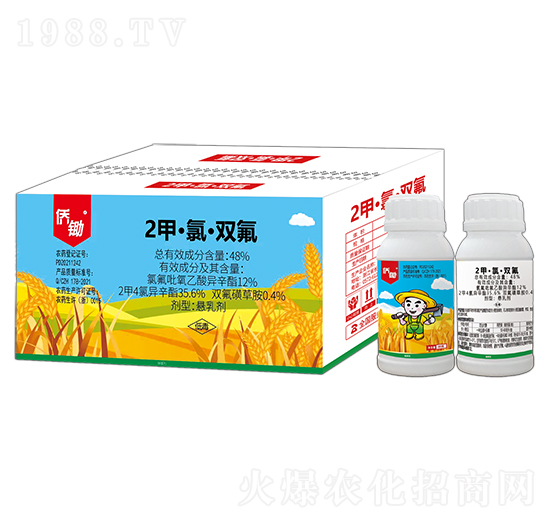 48%2�ס��ȡ��p��-�S�z-(li��n)���r(n��ng)�I(y��)