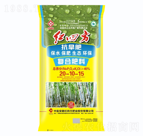 �����͏ͺϷ�20-10-15-�t�ķ�